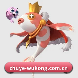 悟空体育 APP